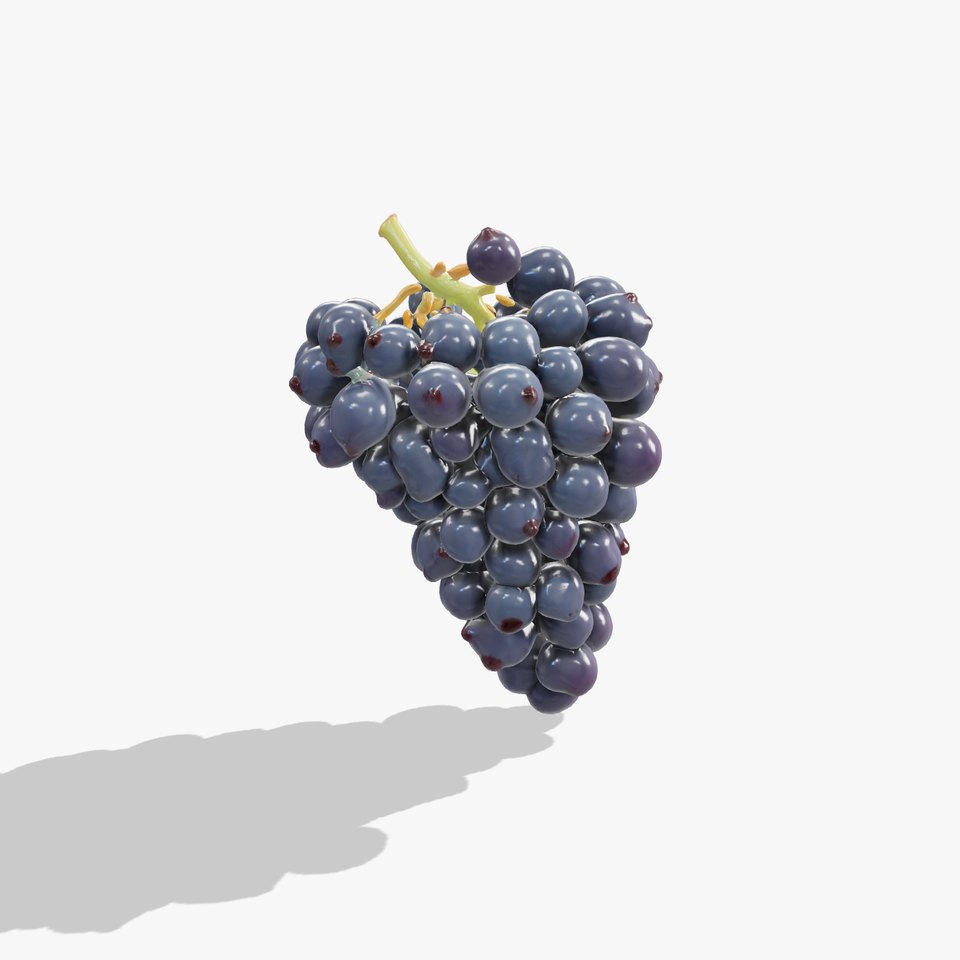 Elegant Black Grape Bunch model pack